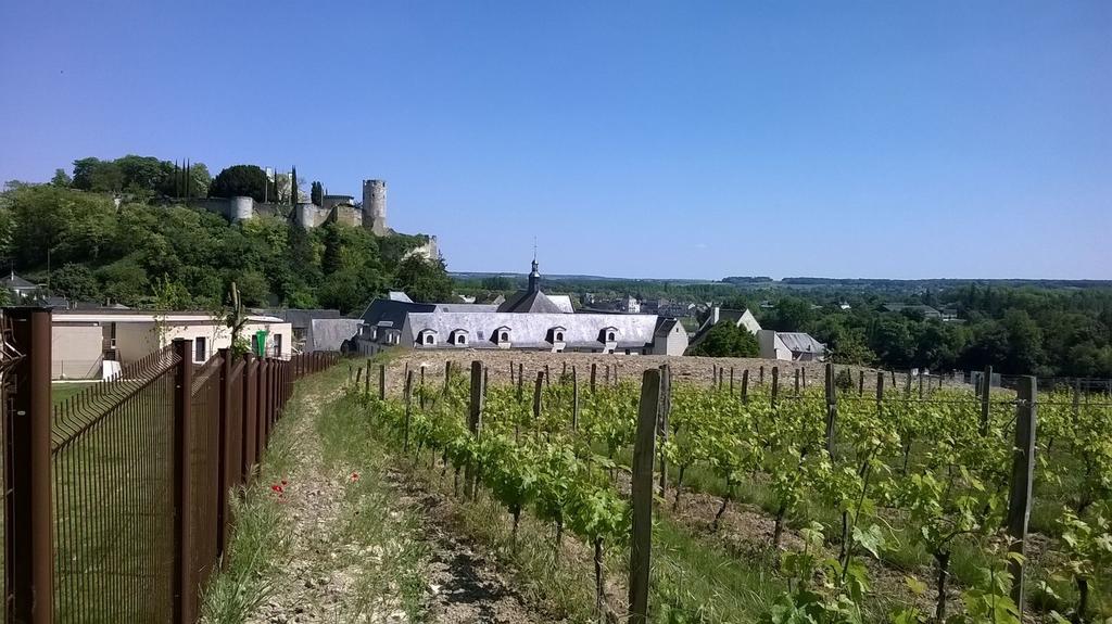 Residence Prestige Odalys Le Clos Saint Michel Chinon Eksteriør bilde