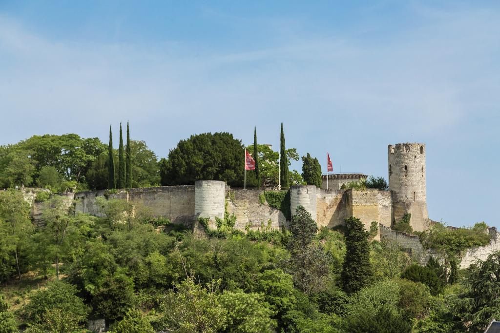 Residence Prestige Odalys Le Clos Saint Michel Chinon Eksteriør bilde