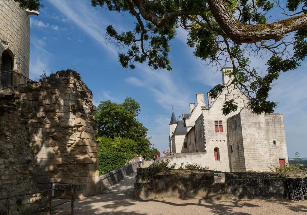 Residence Prestige Odalys Le Clos Saint Michel Chinon Eksteriør bilde